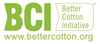 BCI_Logo_2015